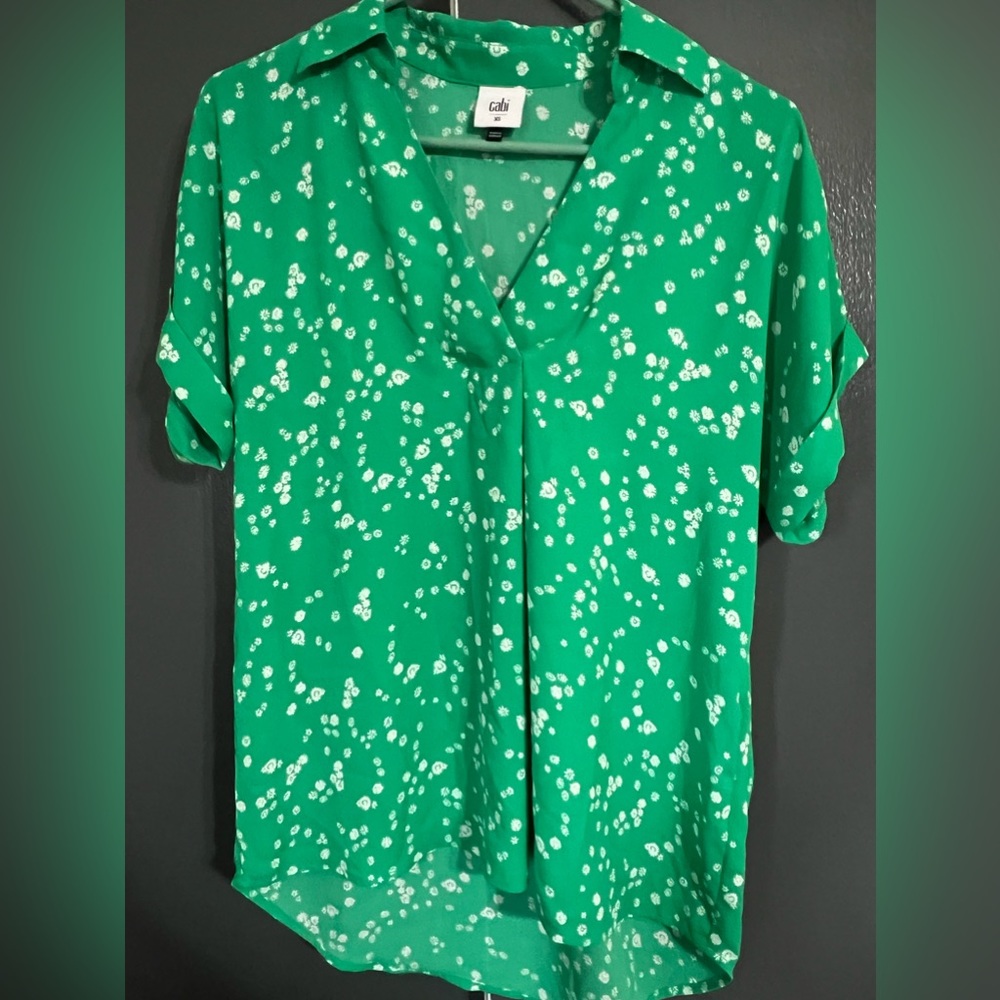 the blouse is the brand Cabi its an extra small and its green with white flowers